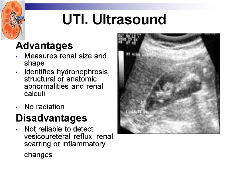 UTI. Ultrasound  Advantages Measures renal size and shape Identifies hydronephrosis, structural or anatomic